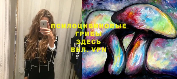 spice Приозерск