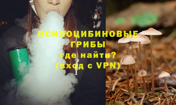 мескалин Покачи