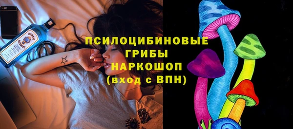 гидропоника Янаул